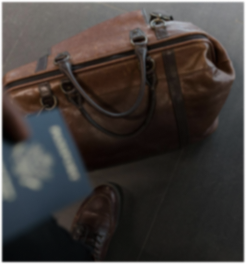 Traveler holding a passport and luggage